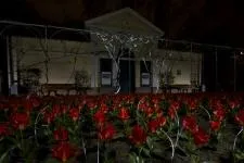 Новинки ландшафтного дизайну (дизайну) Новинки ландшафтного дизайну
