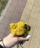 Ну як, як ви справляєтеся з погодками! Запис користувача ирина (id1172965) в співтоваристві (дітки-погодки) Ну як, як ви справляєтеся з погодками! Запис користувача ирина (id1172965) в співтоваристві