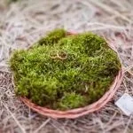 Листопадова весілля ідеї оформлення, фотосесії, букета, zатусім! (Листопадова весілля) Листопадова весілля ідеї оформлення, фотосесії, букета, zатусім!