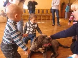 Об'єднання «кінологи»