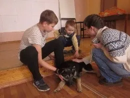 Об'єднання «кінологи»