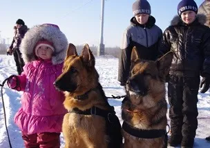 Об'єднання «кінологи»