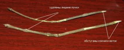Новорічні вироби до 2013 року зміїне дерево - своїми руками (дерево) Новорічні вироби до 2013 року зміїне дерево - своїми руками