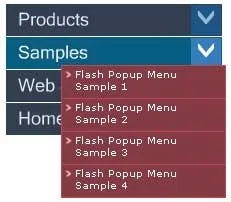 Огляд програм для роботи з flash-технологією