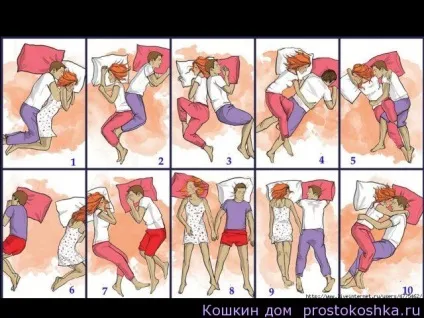 Про що говорять наші тіла вночі, котячий будинок (кажуть) Про що говорять наші тіла вночі, котячий будинок