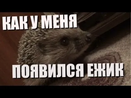 Обучалка- як залазити в ящик без по ну (mssizor Група Єврей) Обучалка- як залазити в ящик без по на