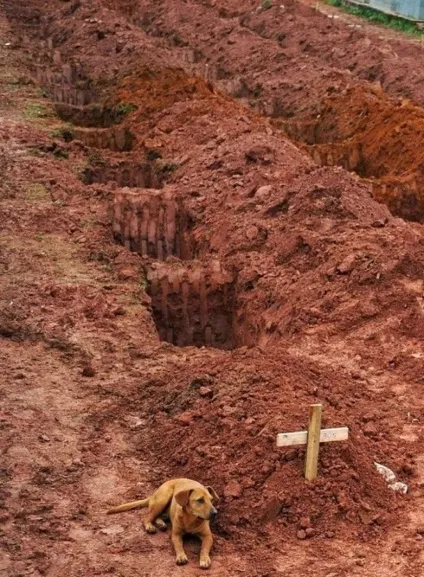 Дуже сильні фотографії () Дуже сильні фотографії