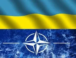 10 Речей які ви повинні знати про нато
