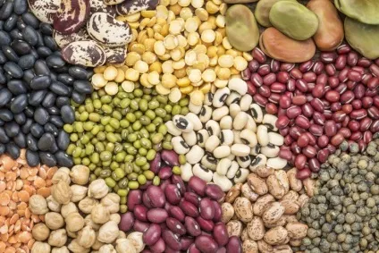 10 Самих здорових продуктів на землі (продукти) 10 Самих здорових продуктів на землі