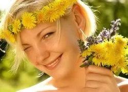 Кульбаба для особи
