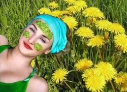 Кульбаба для особи