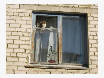 Один із днів в сел