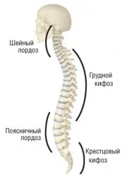 Ортопедія - хребет (Кинешма) Ортопедія - хребет