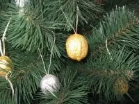 Горішки з передбаченнями своїми руками (передбаченнями) Горішки з передбаченнями своїми руками
