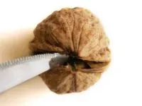 Горішки з передбаченнями своїми руками (своїми) Горішки з передбаченнями своїми руками