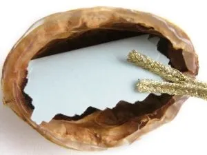 Горішки з передбаченнями своїми руками (передбаченнями своїми руками) Горішки з передбаченнями своїми руками