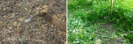 Органічне землеробство плоскорез замість культиватора (плоскоріз) Органічне землеробство плоскорез замість культиватора
