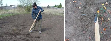 Органічне землеробство плоскорез замість культиватора (дача) Органічне землеробство плоскорез замість культиватора