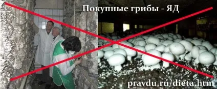 Обережно їжа - список небезпечних продуктів - здоров'я - каталог статей - знай правду! Але істина (небезпечних) Обережно їжа - список небезпечних продуктів - здоров'я - каталог статей - знай правду! але істина