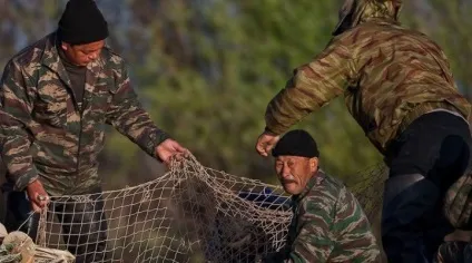 Основні прийоми лову риби неводом (риби) Основні прийоми лову риби неводом