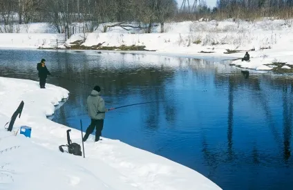 зупинити мить