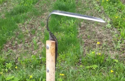 Органічне землеробство плоскорез замість культиватора (ділянка) Органічне землеробство плоскорез замість культиватора
