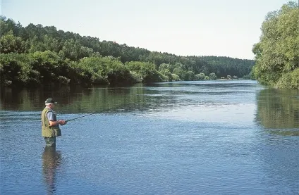 зупинити мить