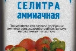 Отруєння солоними огірками причини, симптоми, лікування, профілактика