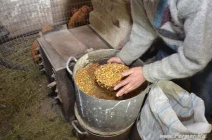 Відгодівлю кроликів на м'ясо в домашніх умовах (домашніх) Відгодівлю кроликів на м'ясо в домашніх умовах