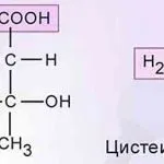 Про вікові зміни в системі органів дихання (дихання) Про вікові зміни в системі органів дихання