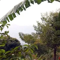 Paradise park and farm samui