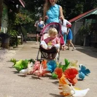 Paradise park and farm samui