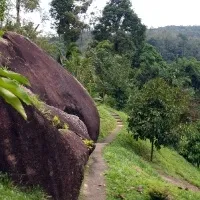 Paradise park and farm samui