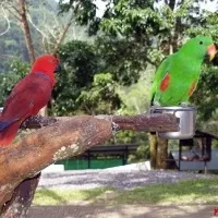 Paradise park and farm samui