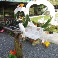 Paradise park and farm samui