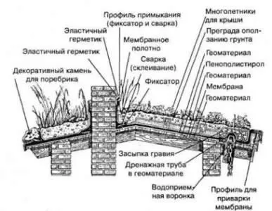 Озеленення дахів вимоги до благоустрою та догляд