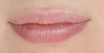 Палітра тіней dior 796 cuir cannage помада rouge dior 317 bar fall 2014 (помади) Палітра тіней dior 796 cuir cannage помада rouge dior 317 bar fall 2014