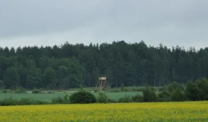 Полювання без пострілу