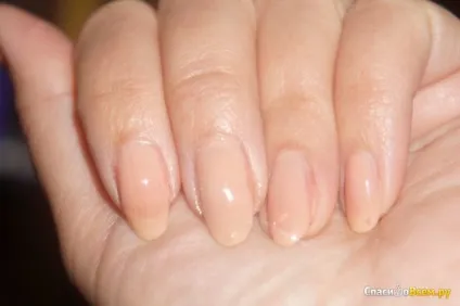 Відгук про лак для нігтів max factor glossfinity №25 desert sand немає, нюдовие відтінки - не моє, дата