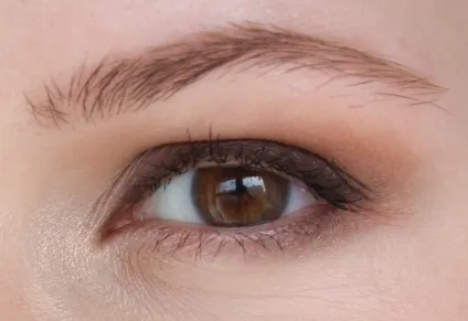 Палітра тіней dior 796 cuir cannage помада rouge dior 317 bar fall 2014 (палетка) Палітра тіней dior 796 cuir cannage помада rouge dior 317 bar fall 2014