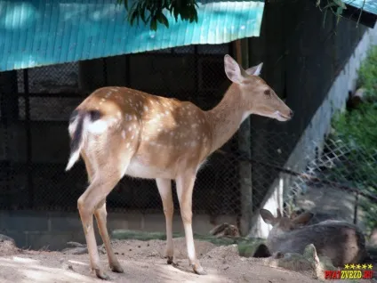 Paradise park and farm samui