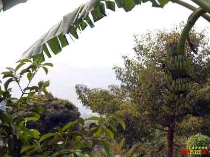 Paradise park and farm samui