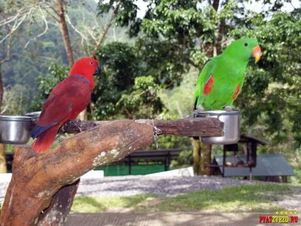 Paradise park and farm samui
