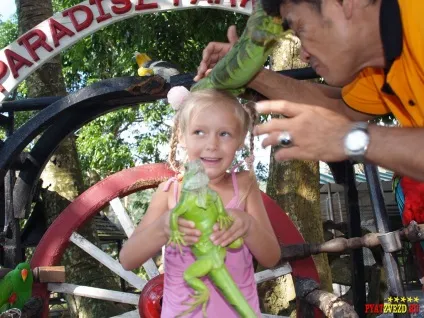 Paradise park and farm samui