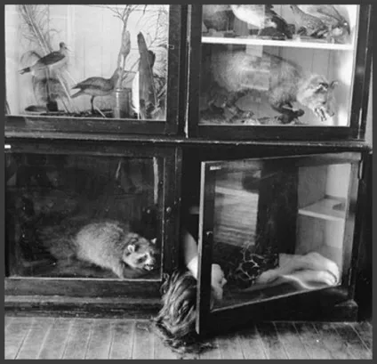 Відгуки про книгу бабка, збільшена до розмірів собаки (бабка) Відгуки про книгу бабка, збільшена до розмірів собаки