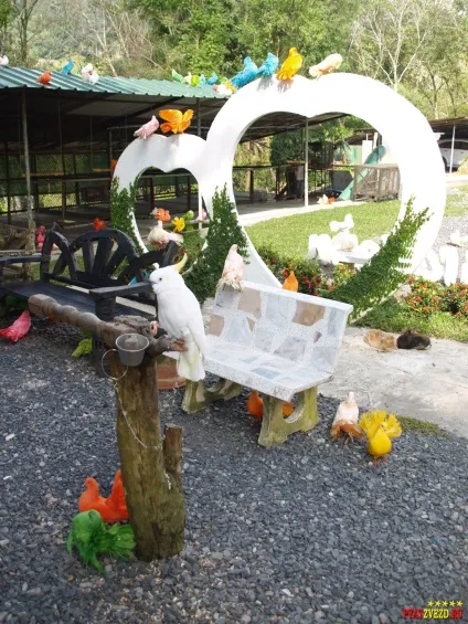 Paradise park and farm samui