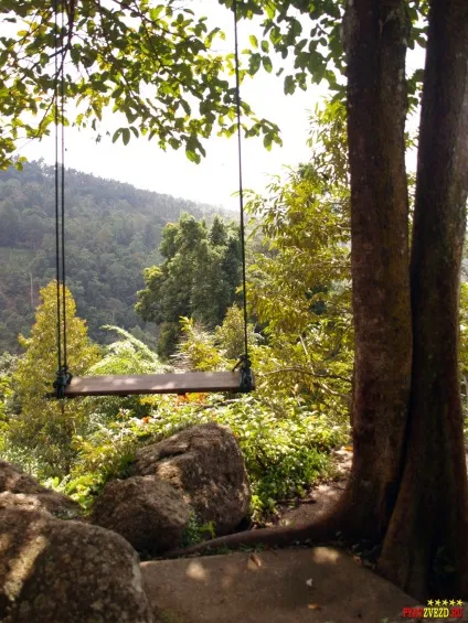 Paradise park and farm samui