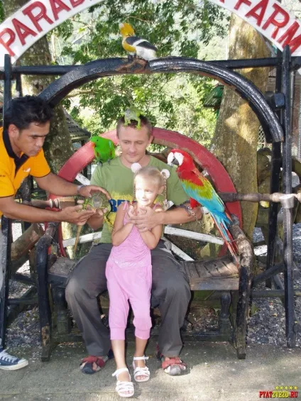 Paradise park and farm samui