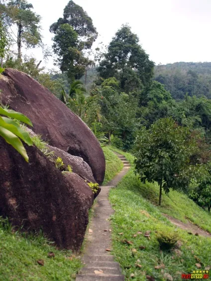 Paradise park and farm samui