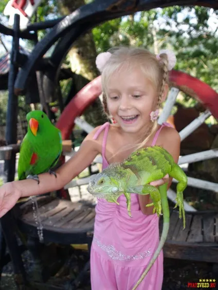 Paradise park and farm samui
